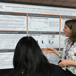 Stoke presenta datos preclinicos en la reunion anual de la Sociedad Americana de Epilepsia