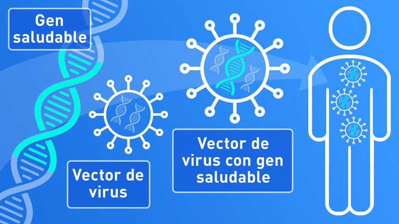 Terapia genica